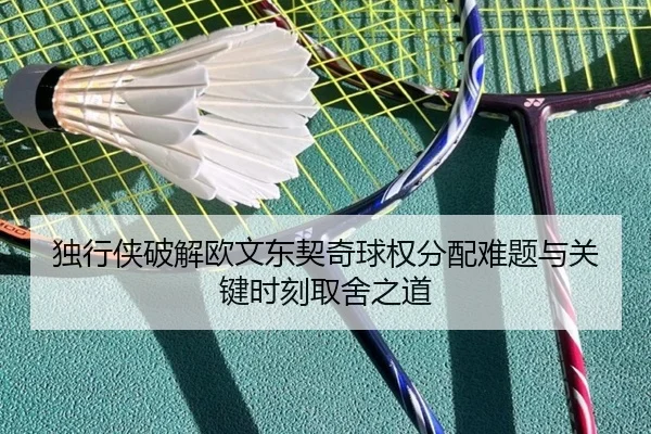 独行侠破解欧文东契奇球权分配难题与关键时刻取舍之道