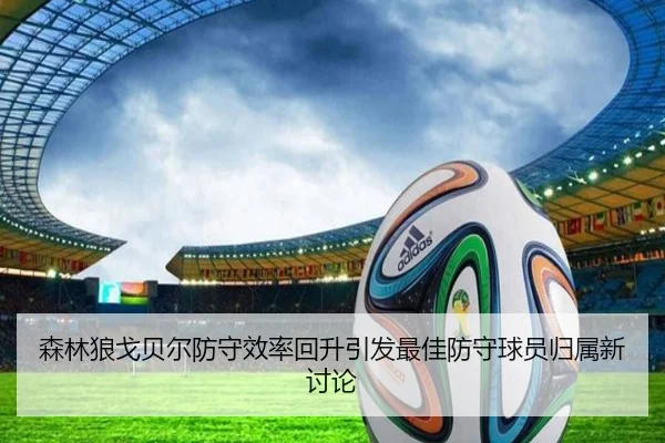 森林狼戈贝尔防守效率回升引发最佳防守球员归属新讨论
